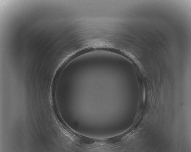 X0000064060391200602031655