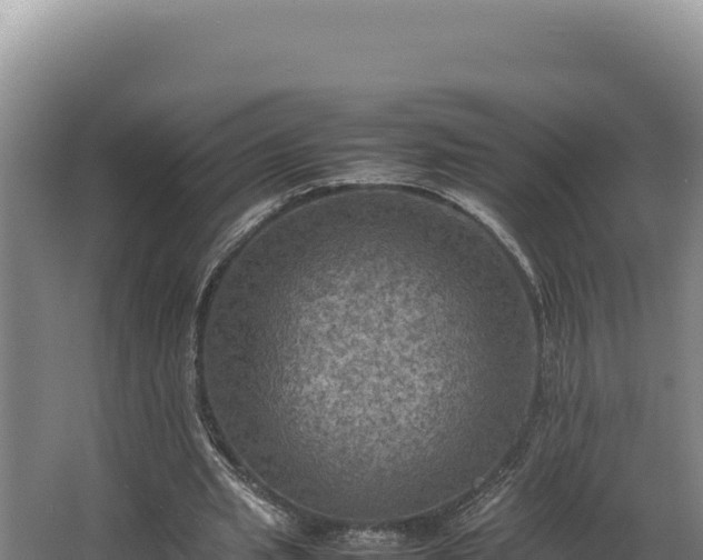 X0000064060437200602031654