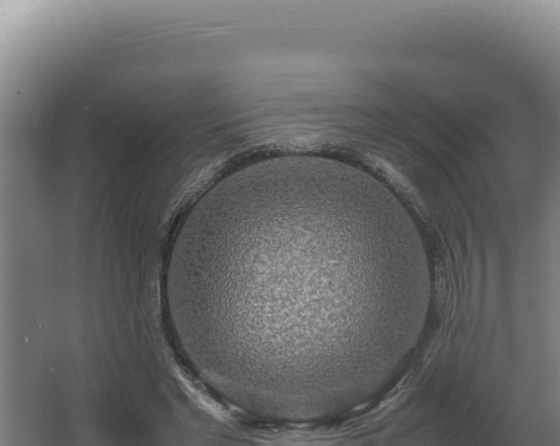 X0000064060493200602031653