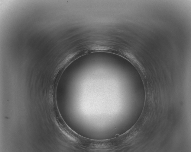 X0000064060533200602031652