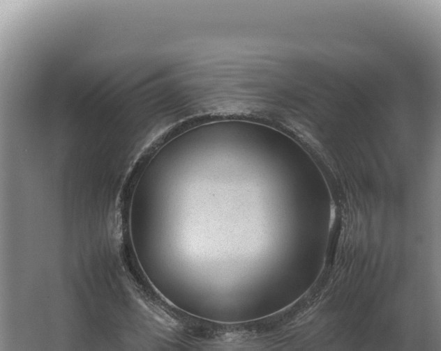 X0000064060584200602031652