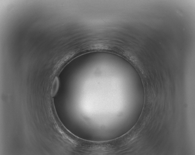 X0000064060625200602031650