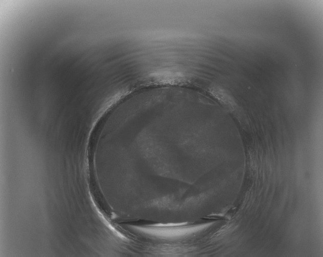 X0000064060630200602031650