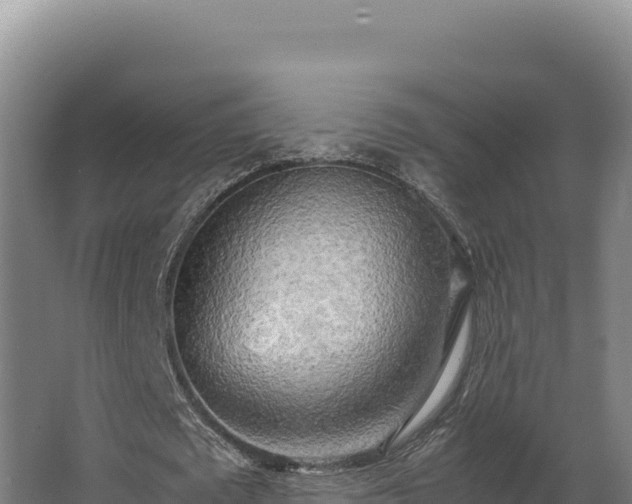 X0000064060673200602031650