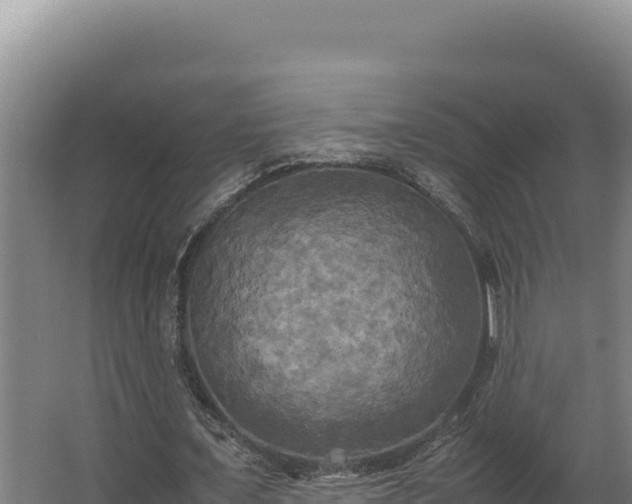 X0000064060675200602031650