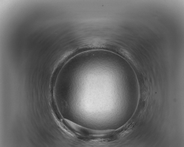 X0000064060677200602031650