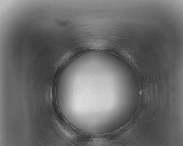 X0000064060686200602031650