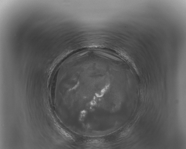 X0000064060721200602031649