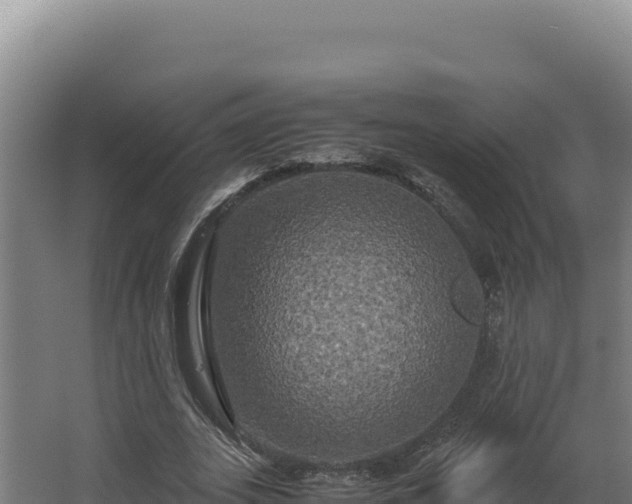 X0000064060727200602031649