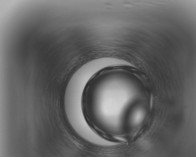 X0000064060750200602031649