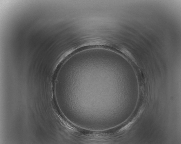 X0000064060781200602031648