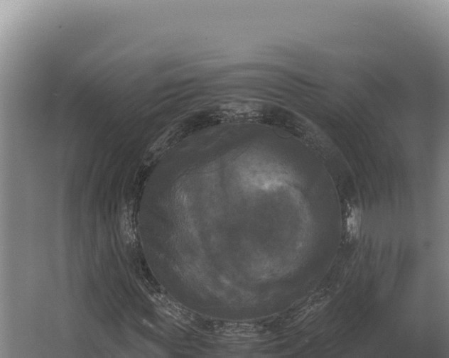 X0000064060819200602031647