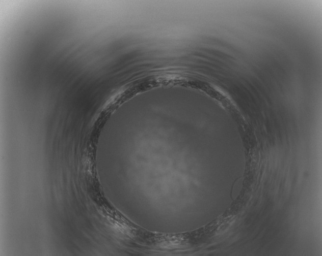 X0000064060823200602031647