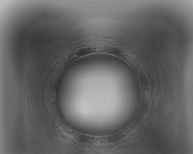 X0000064060865200602031647