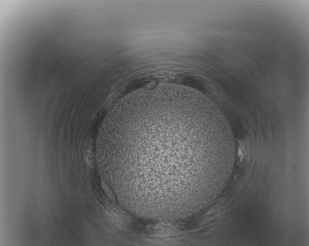 X0000064060867200602031647
