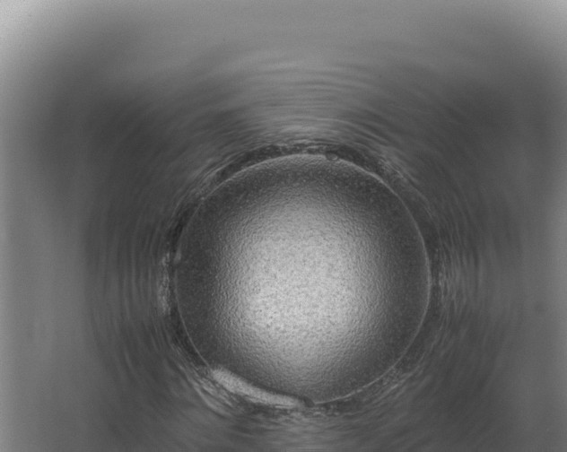 X0000064060868200602031647