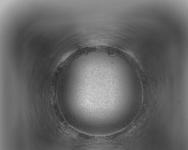 X0000064060871200602031647