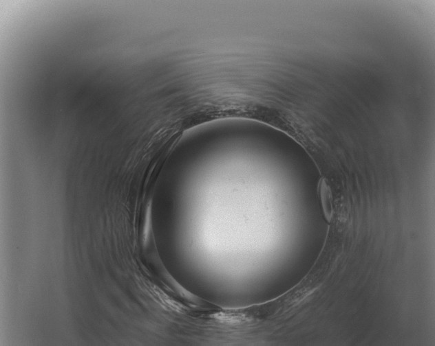 X0000064060916200602031645