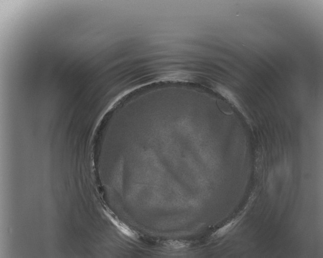 X0000064060923200602031646
