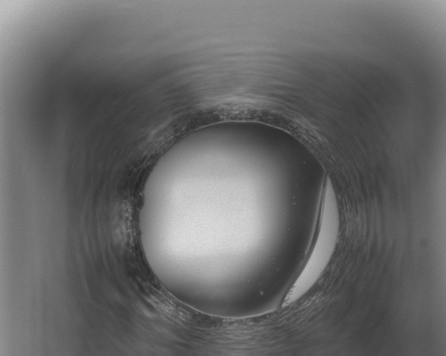 X0000064060964200602031645