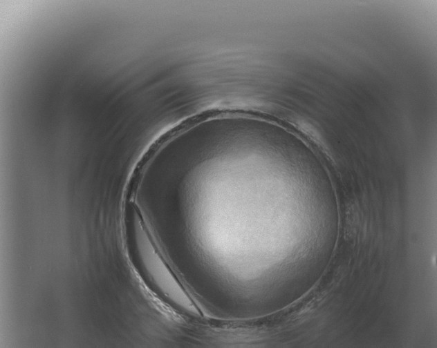 X0000064060976200602031645