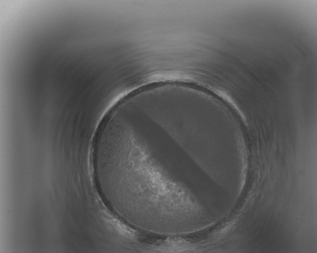 X0000064060983200602031645