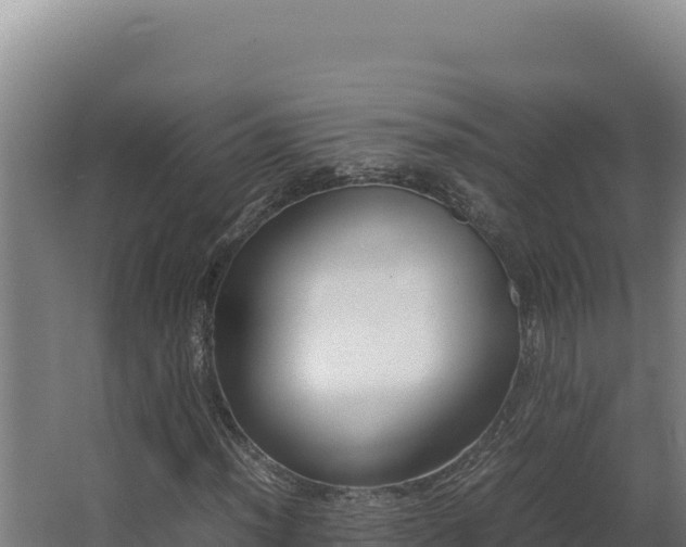 X0000064061012200602031644