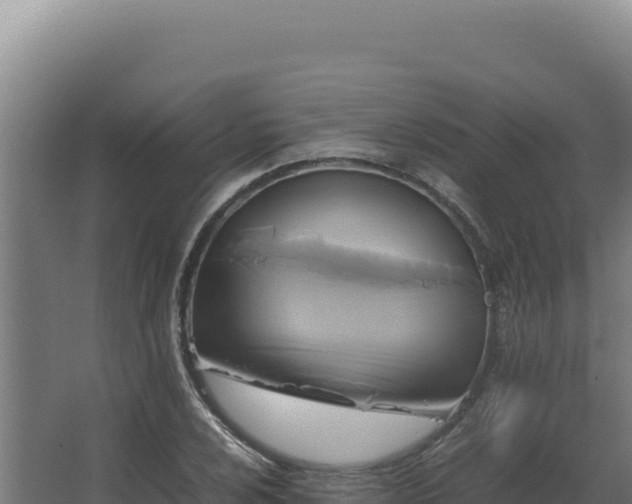 X0000064061024200602031644