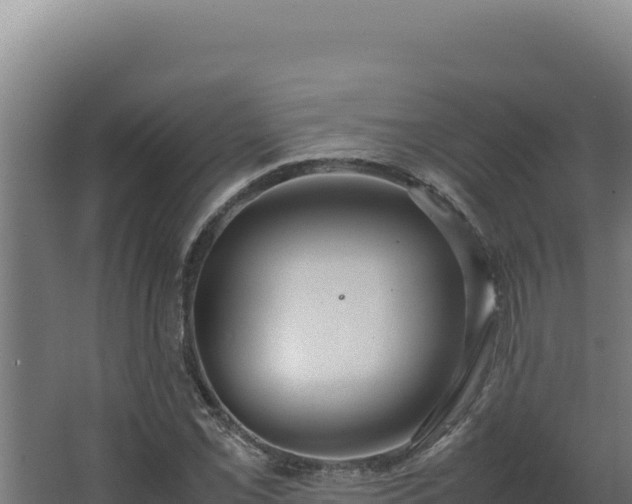 X0000064061069200602031644