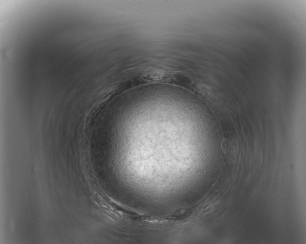 X0000064061105200602031642
