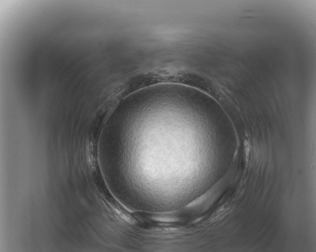 X0000064061156200602031642