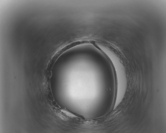 X0000064061160200602031642
