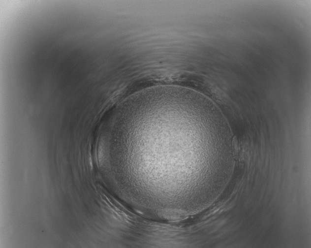 X0000064061202200602031641