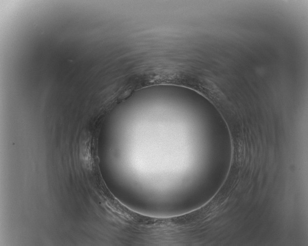 X0000064061250200602031641