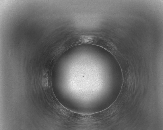 X0000064061442200602031637