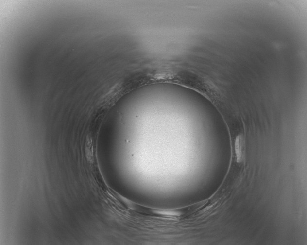 X0000064061443200602031637