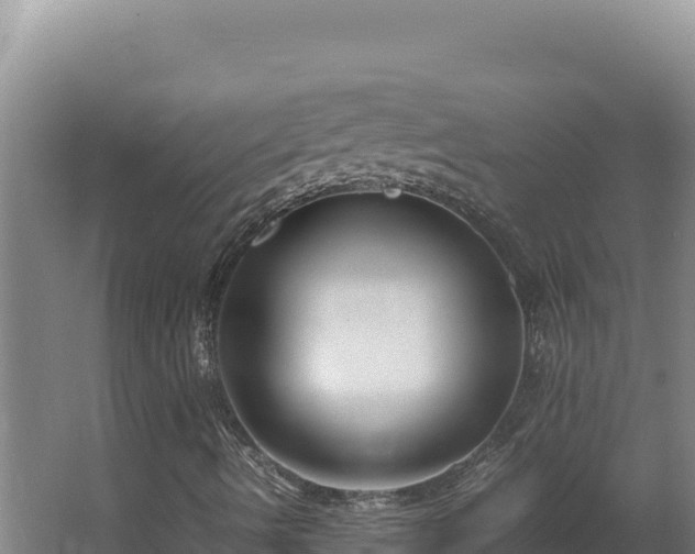 X0000064061490200602031635