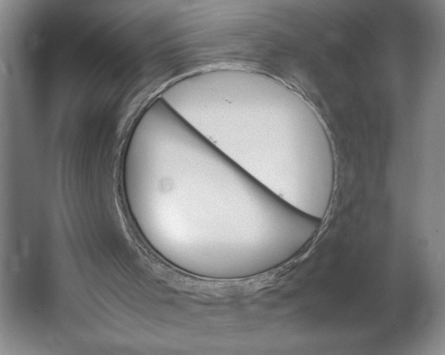 X0000064060001200602101542
