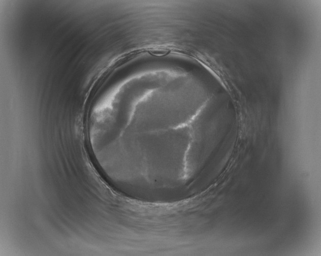X0000064060002200602101542