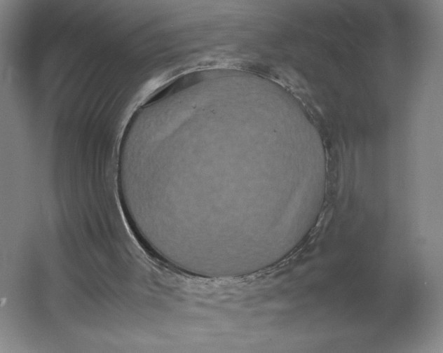 X0000064060003200602101542