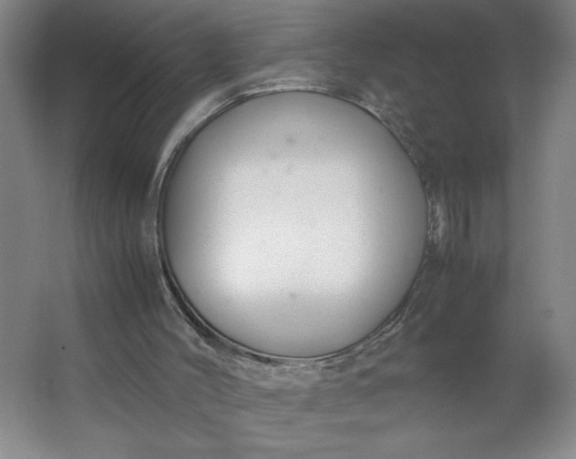 X0000064060004200602101542
