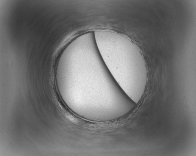 X0000064060005200602101542