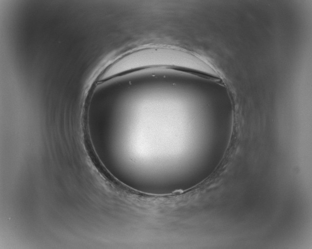 X0000064060007200602101542