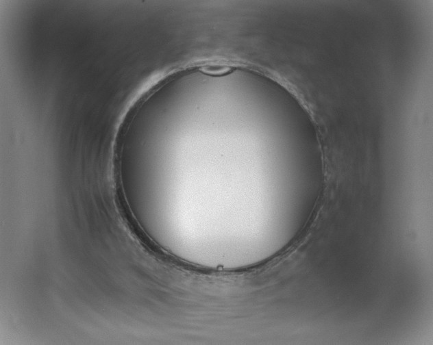 X0000064060008200602101542