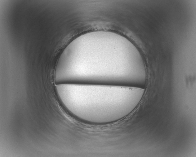 X0000064060009200602101542