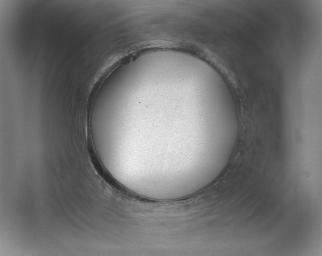 X0000064060011200602101542