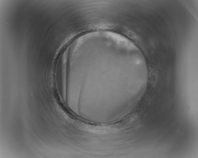 X0000064060012200602101542