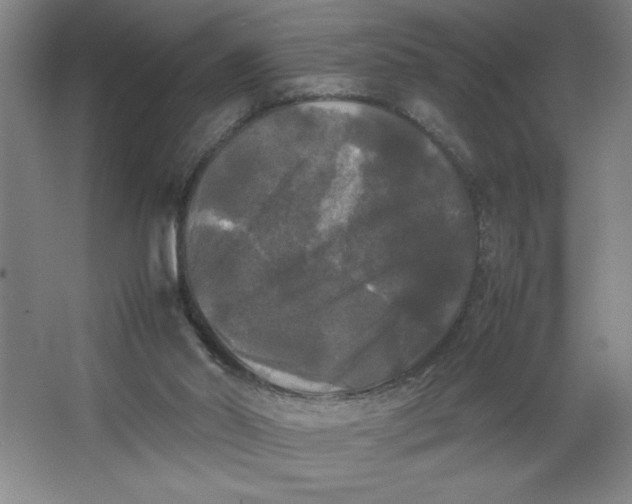 X0000064060014200602101542