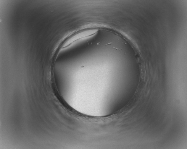 X0000064060015200602101542