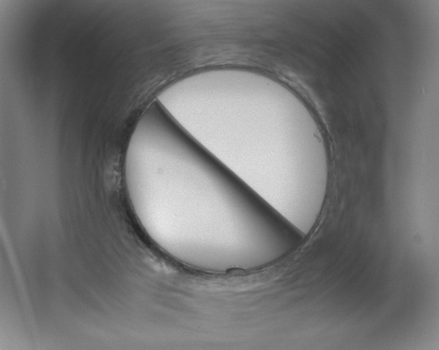 X0000064060017200602101542